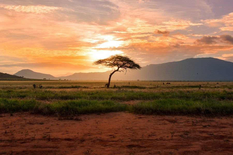 Africa visa information for Indians